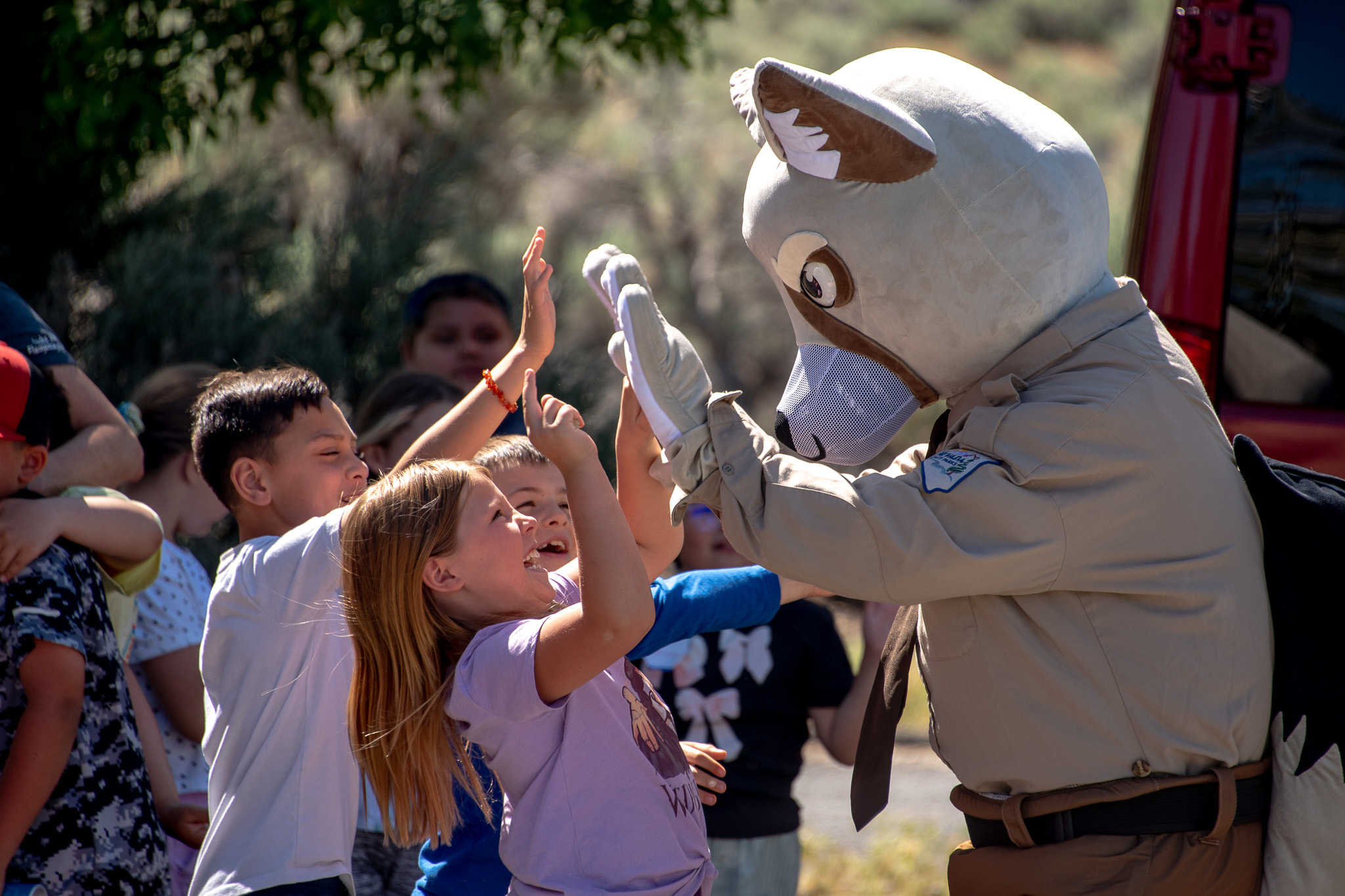Carson Kit Fox high-fiving students